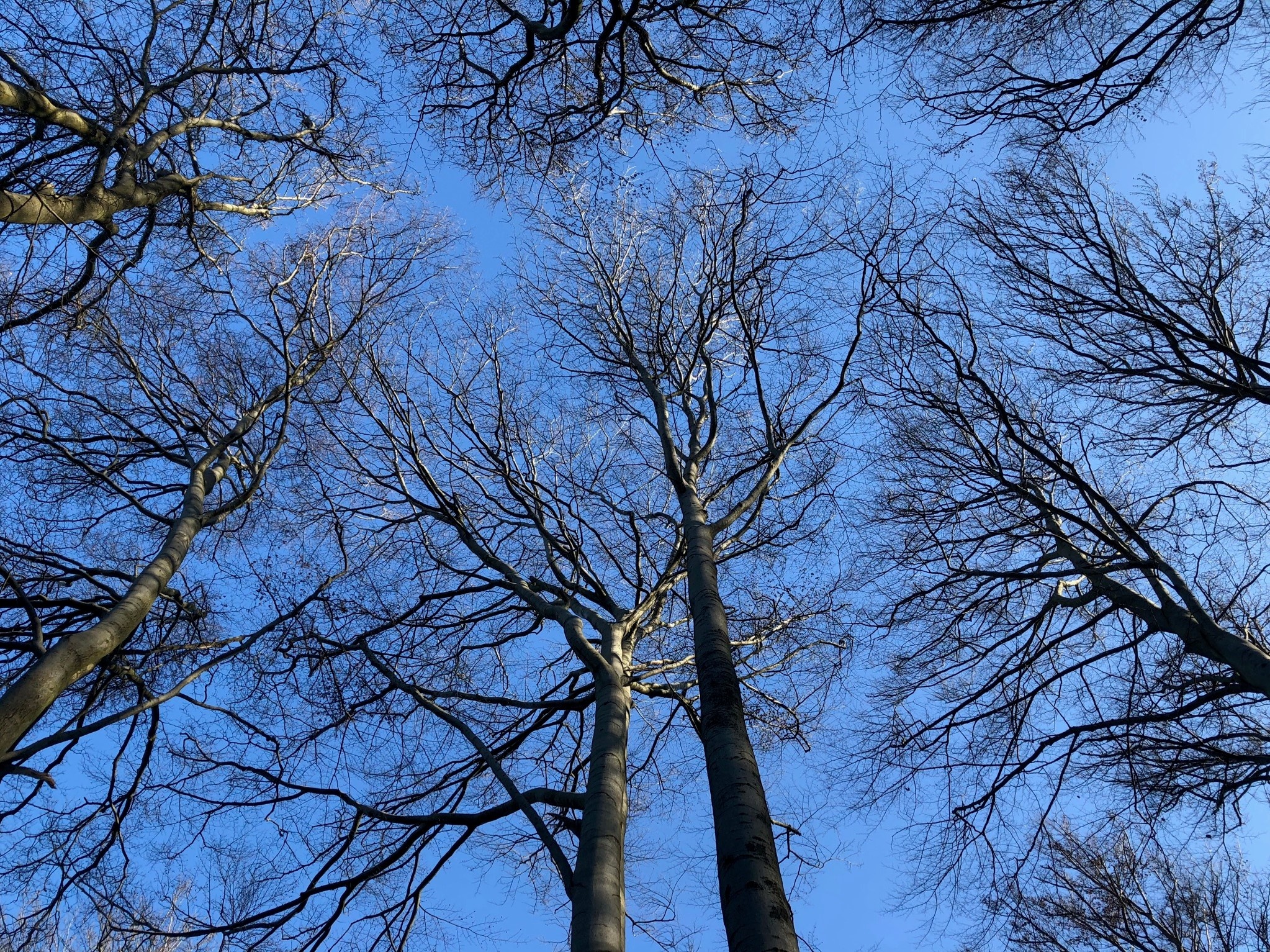 Schalksmühler Rundweg