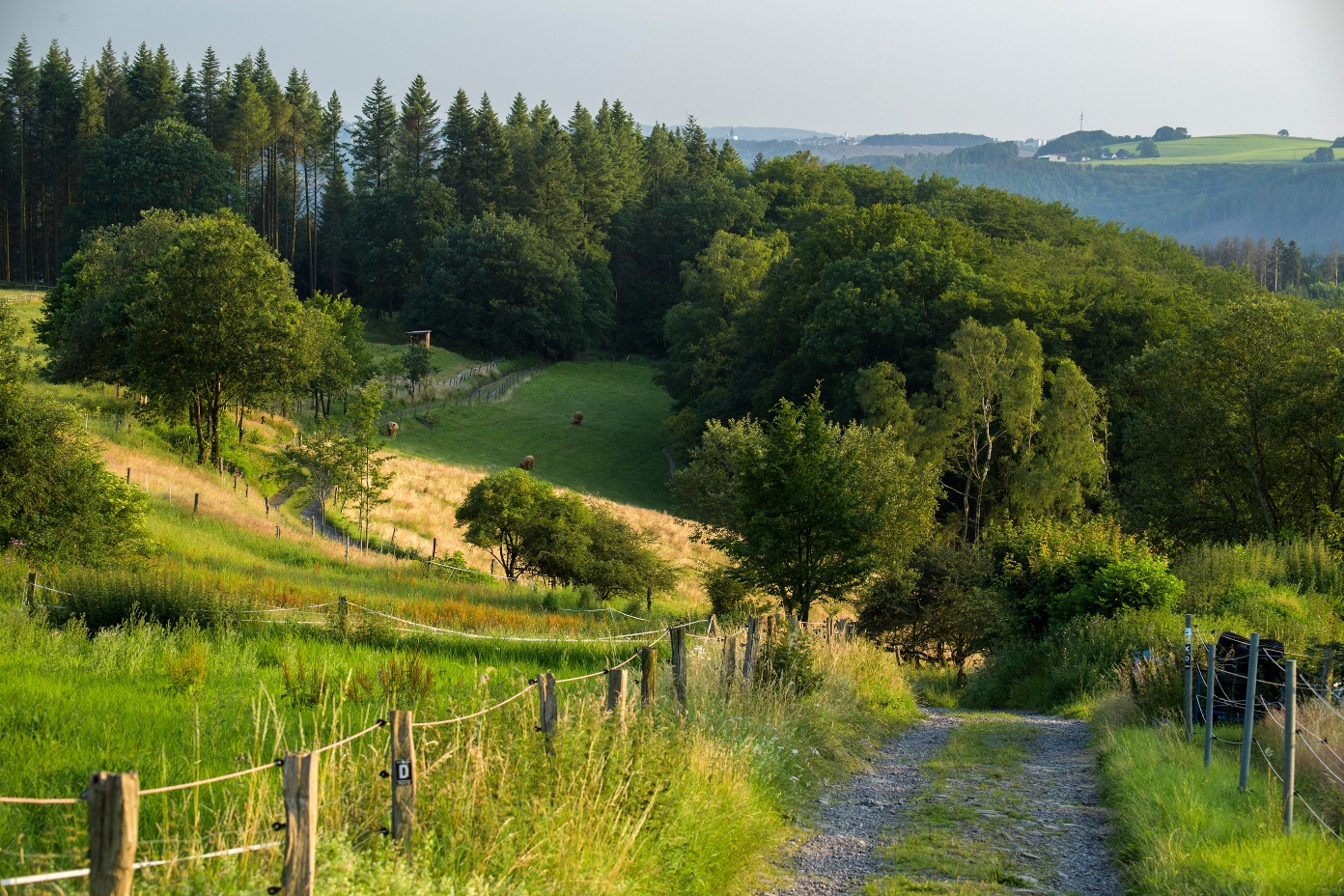 Weg hinauf von Altena zum Hegenscheid