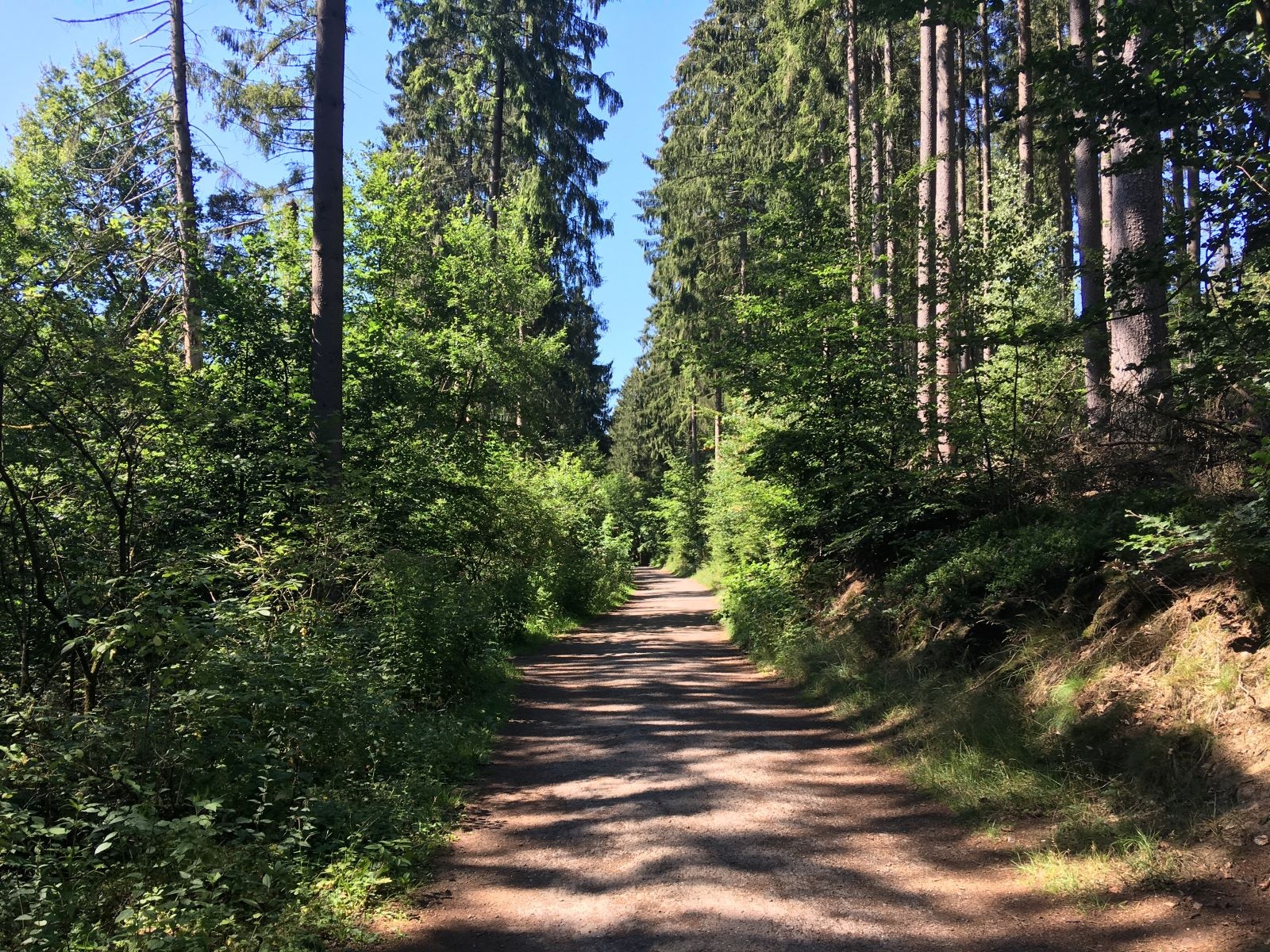 Rundweg um die Glörtalsperre