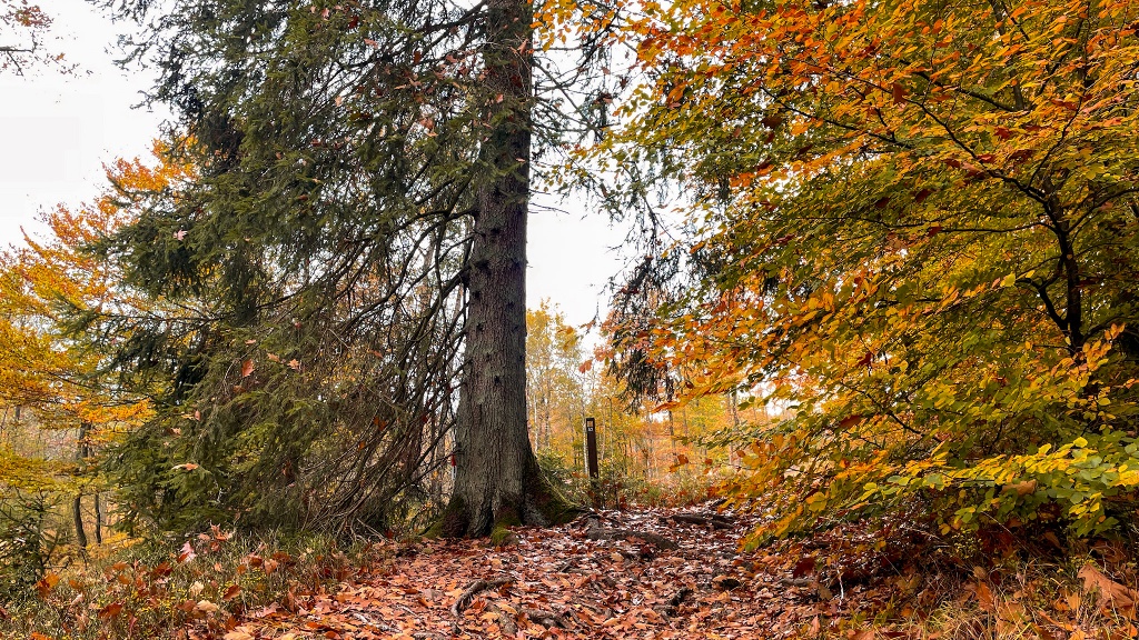 Der Sauerland-Höhenflug im Herbst