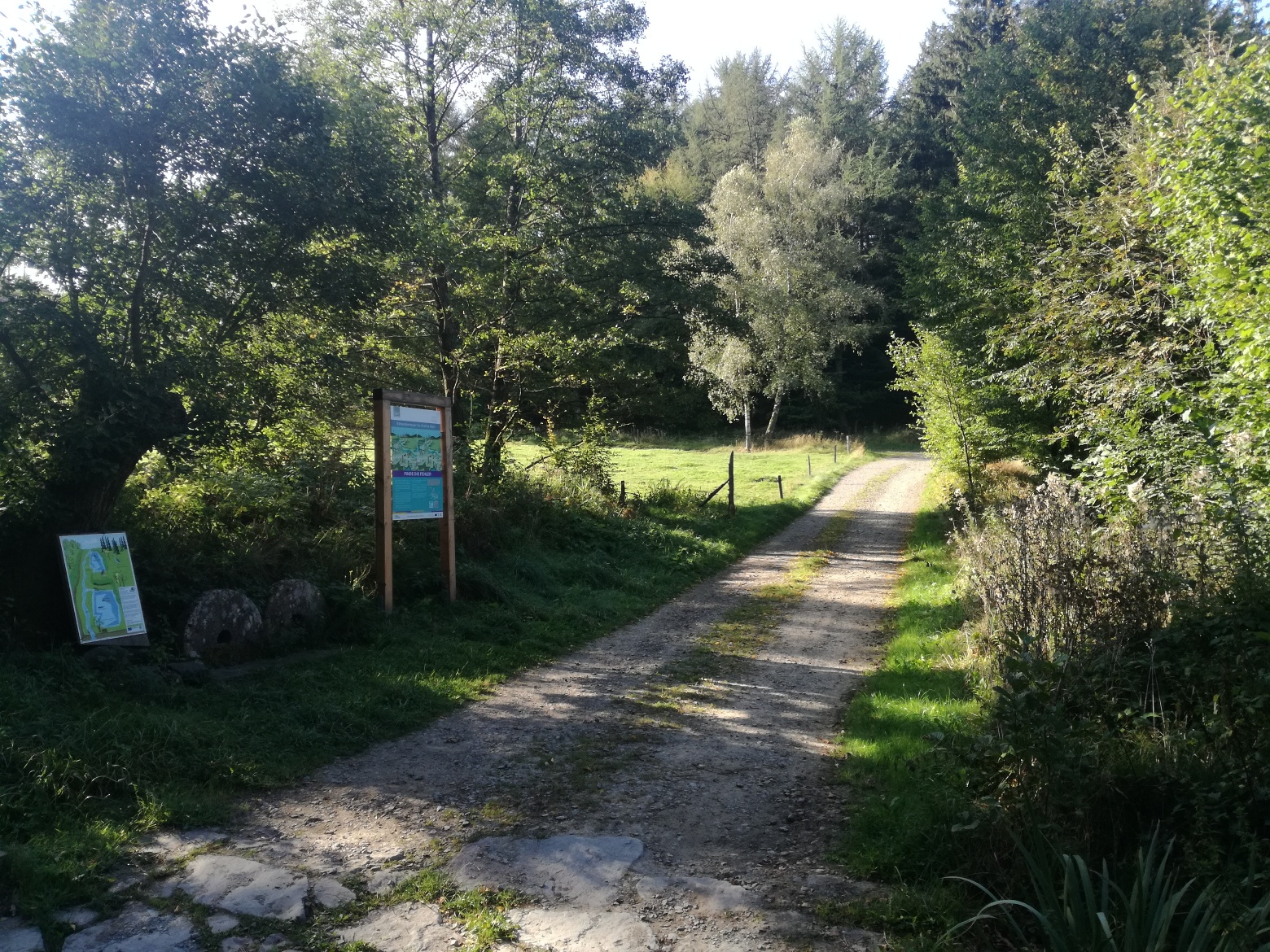 Rätseltafel an einer Waldkreuzung