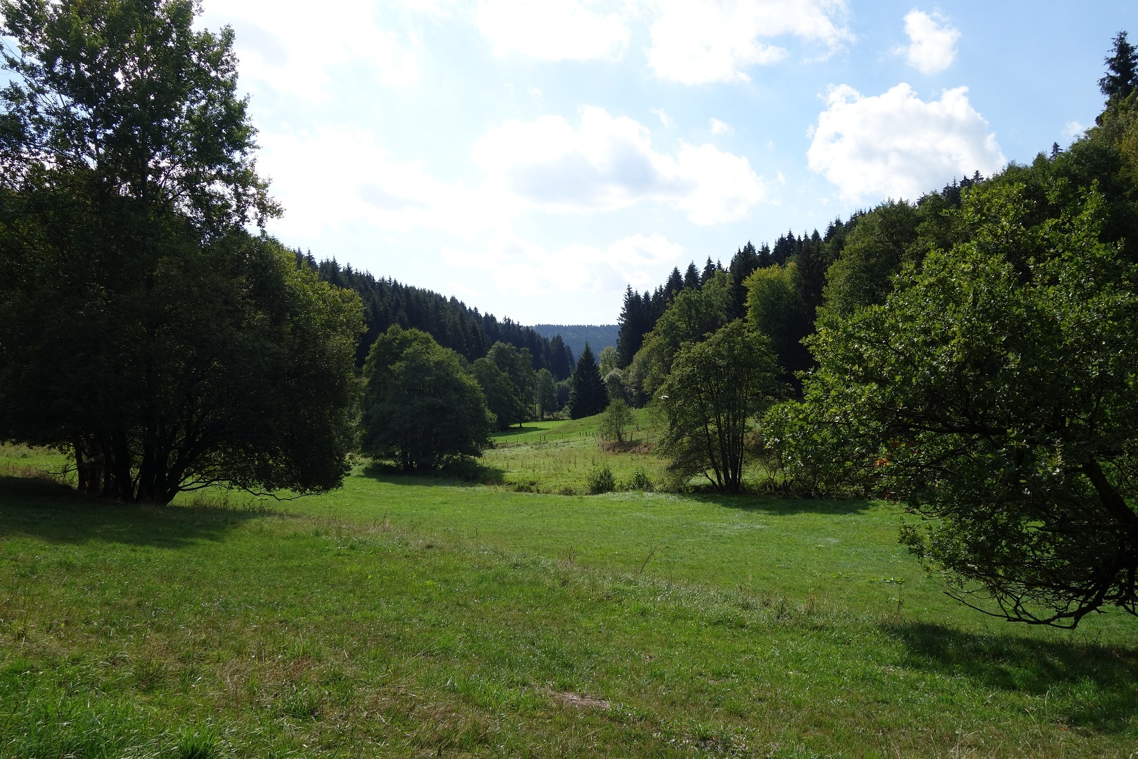 Durchquerung des kleinen Naturschutzgebietes Heimchetal