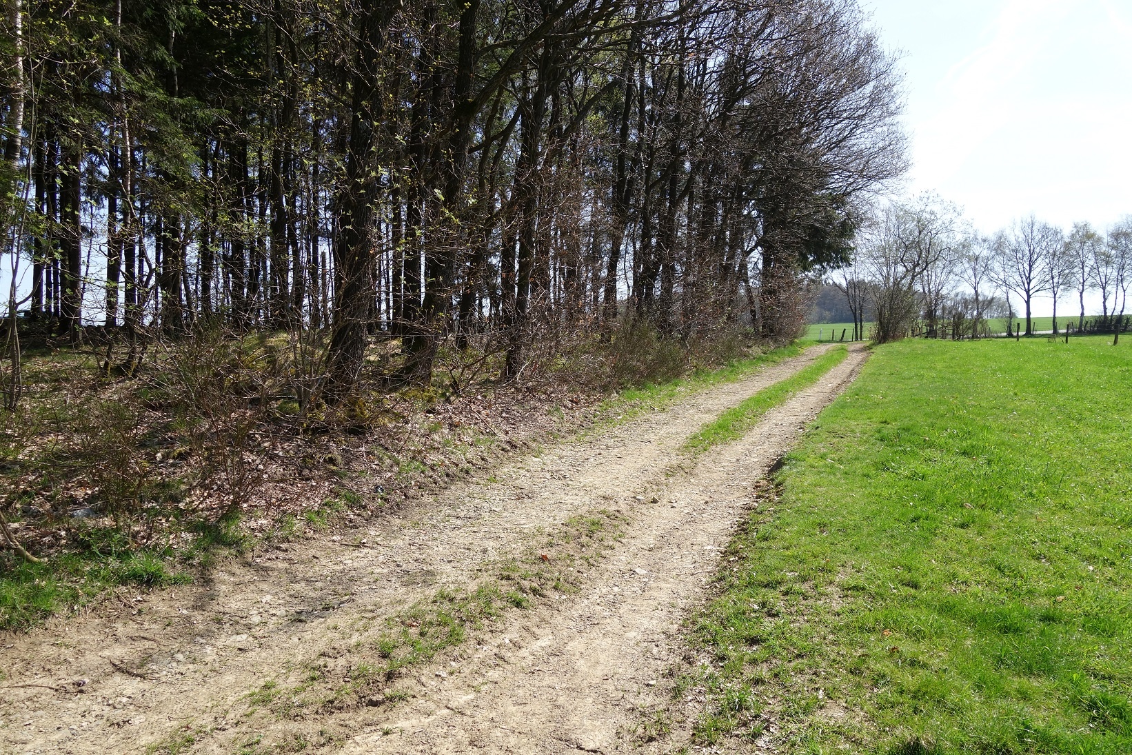 Wald und Wiesen wechseln sich auf diesem Wanderweg ab