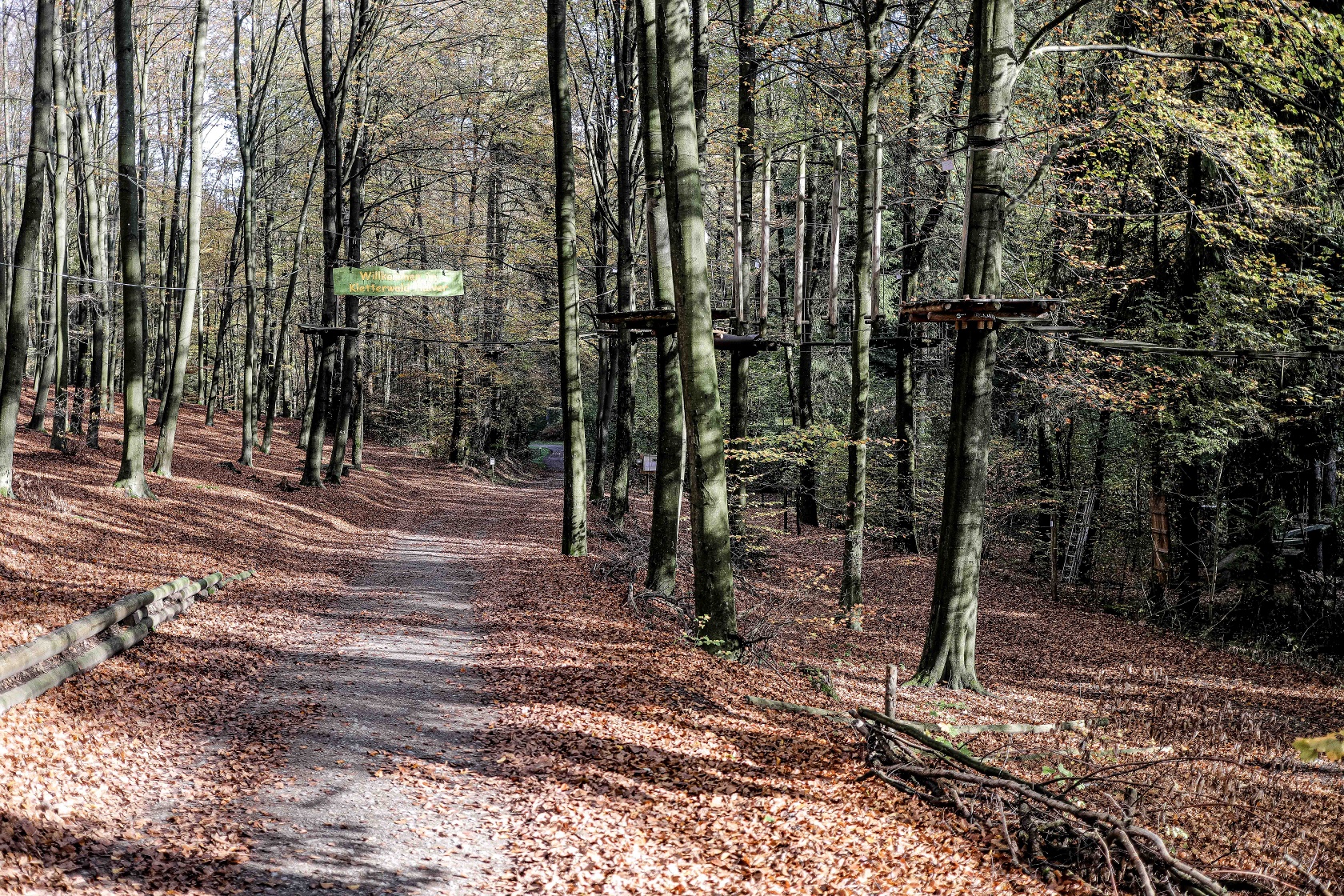 Der Weg führt durch den Kletterwald hindurch