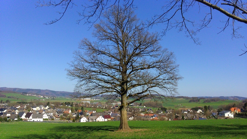 Aussicht vom Wellenberg auf Neuenrade-Kuentrop