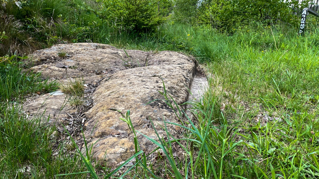 Karrenspur / Teufelsstein von Willertshagen