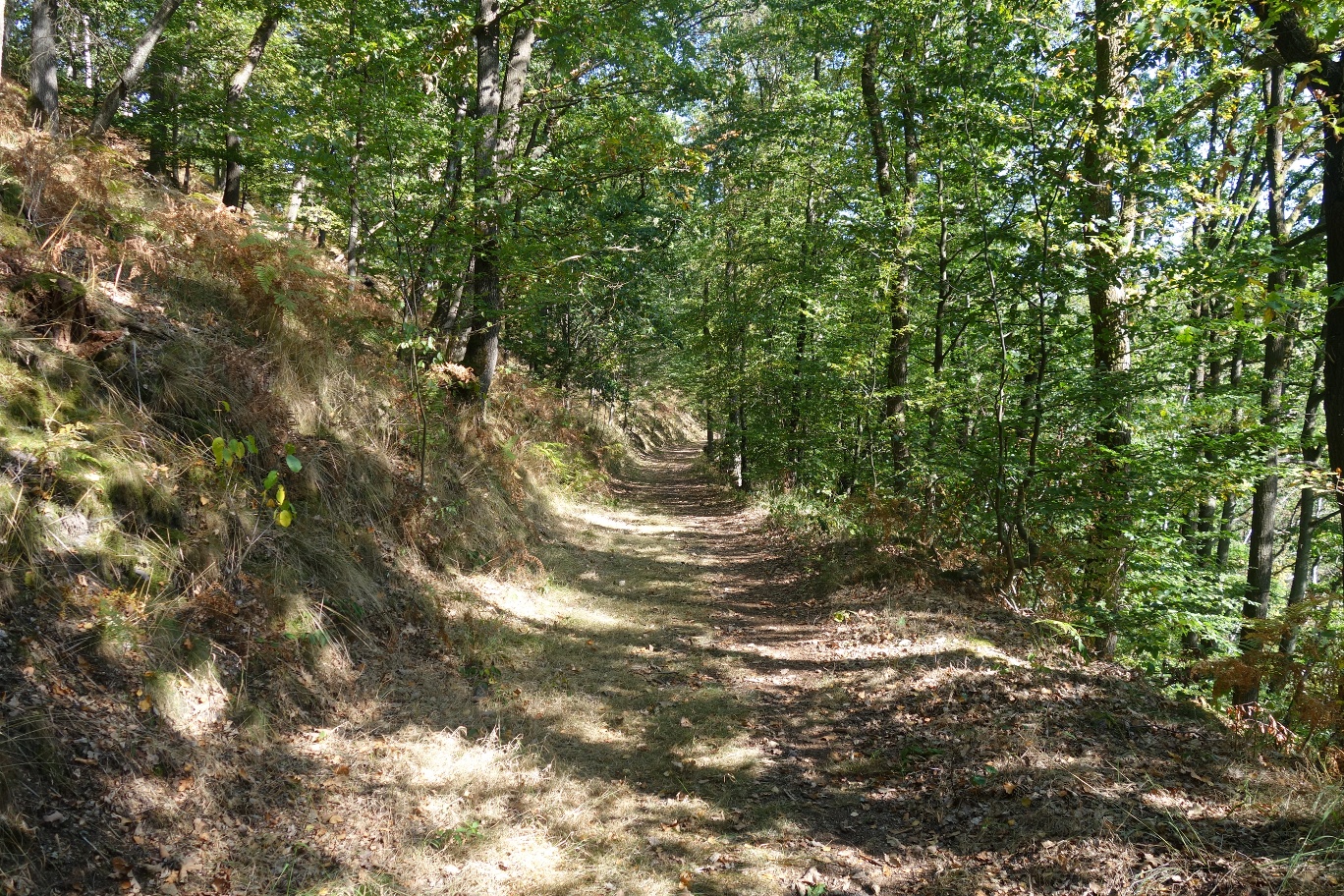 Hinein in das Naturschutzgebiet Notkleff