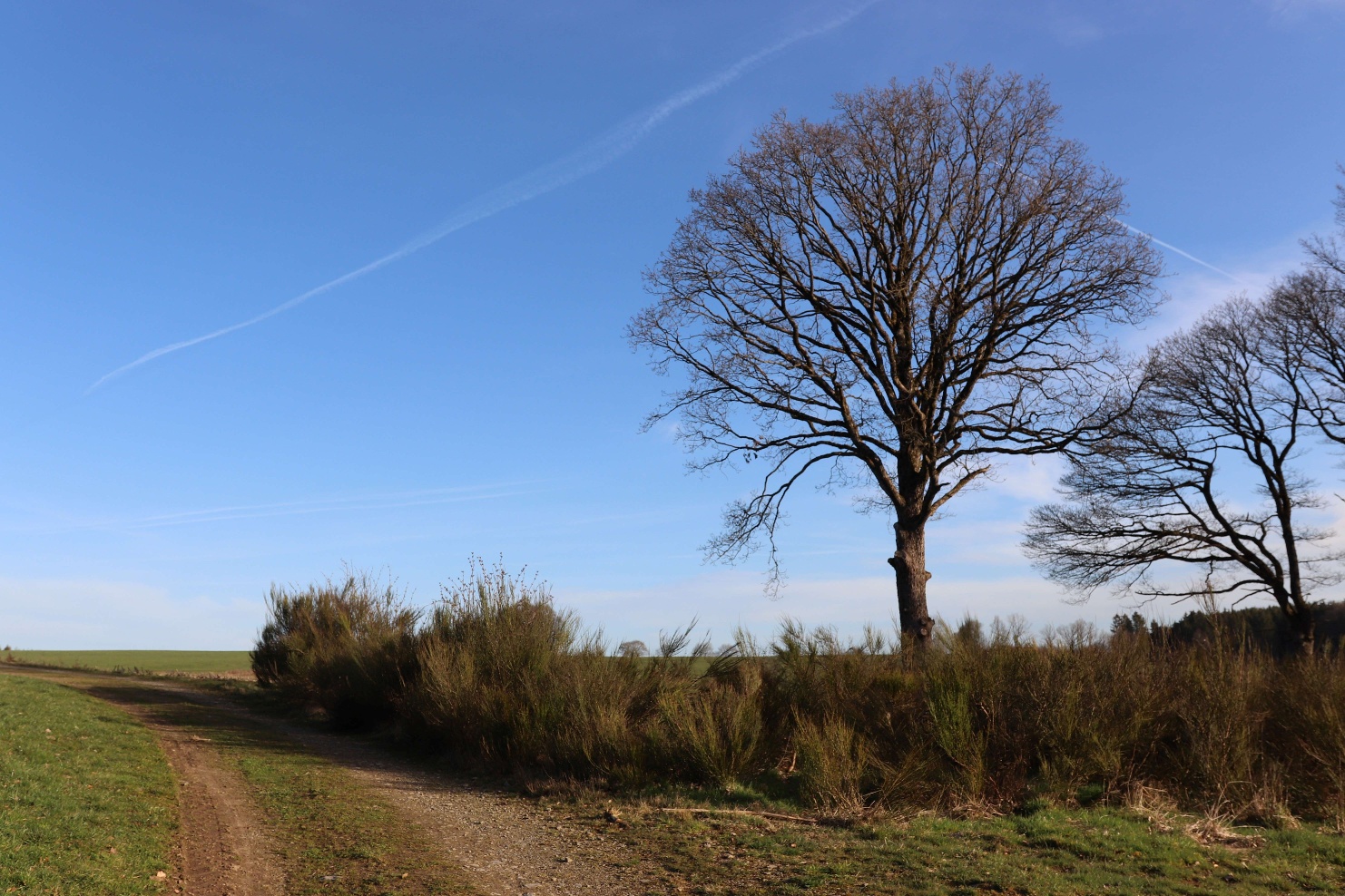 Schalksmühler Rundweg