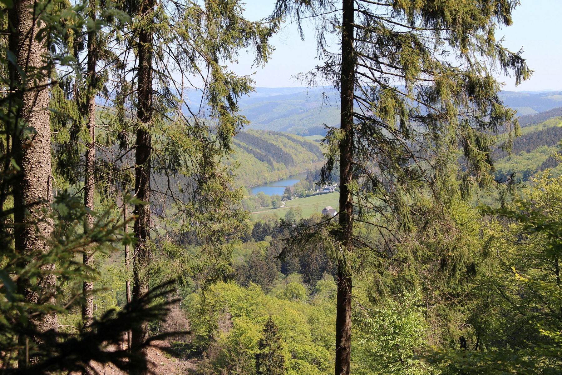 Blick auf die Oestertalsperre vom Sauerland-Höhenflug