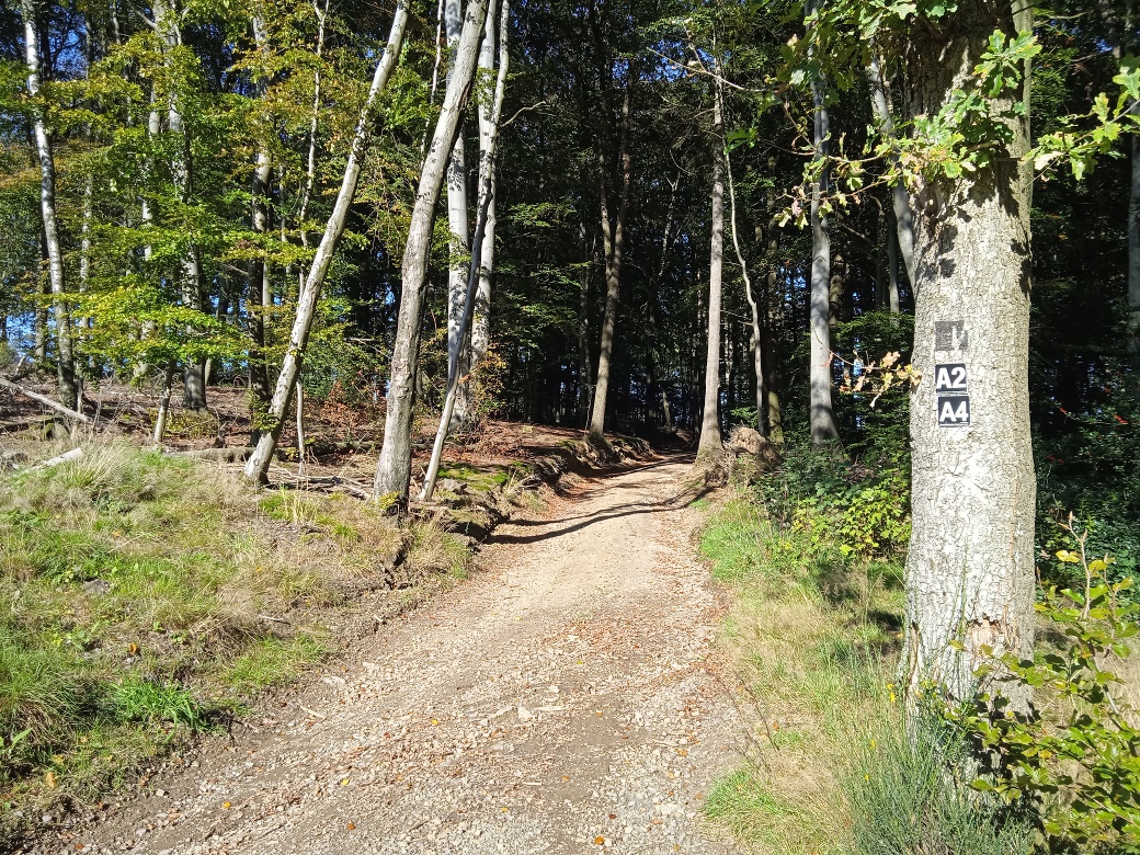 Wanderwegabschnitt VolmeSchatz Sagen auf dem Arney bei Kierspe