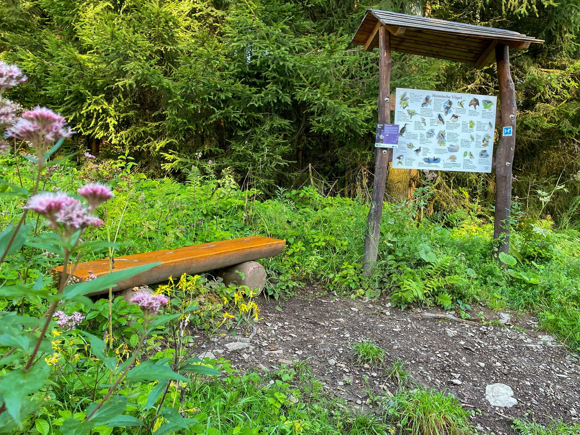 WaldAktivPfad am Wanderbaren M