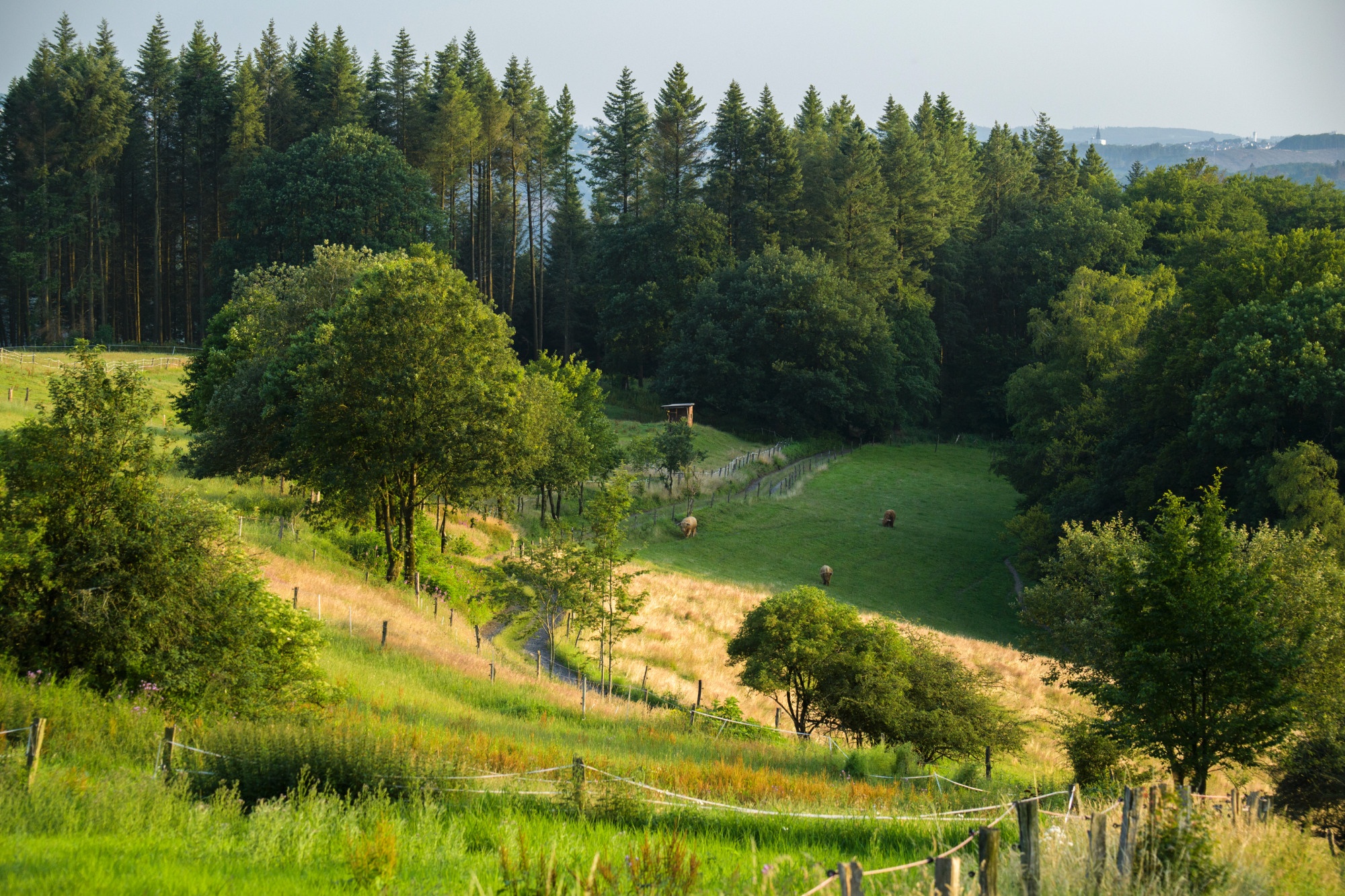 Sauerland-Höhenflug vom Hegenscheid nach Altena