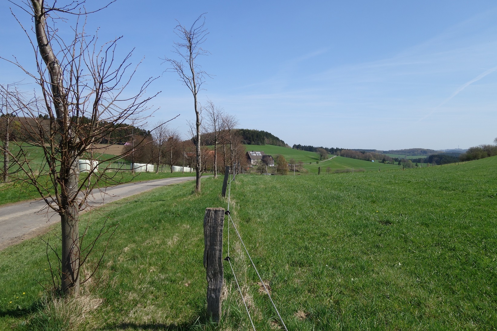 Blick über die Siedlung Wiene hinweg