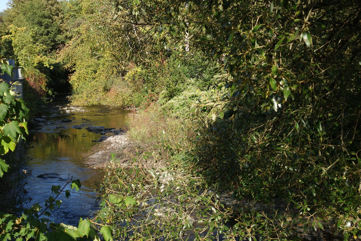 Die Volme in Dahlerbrück