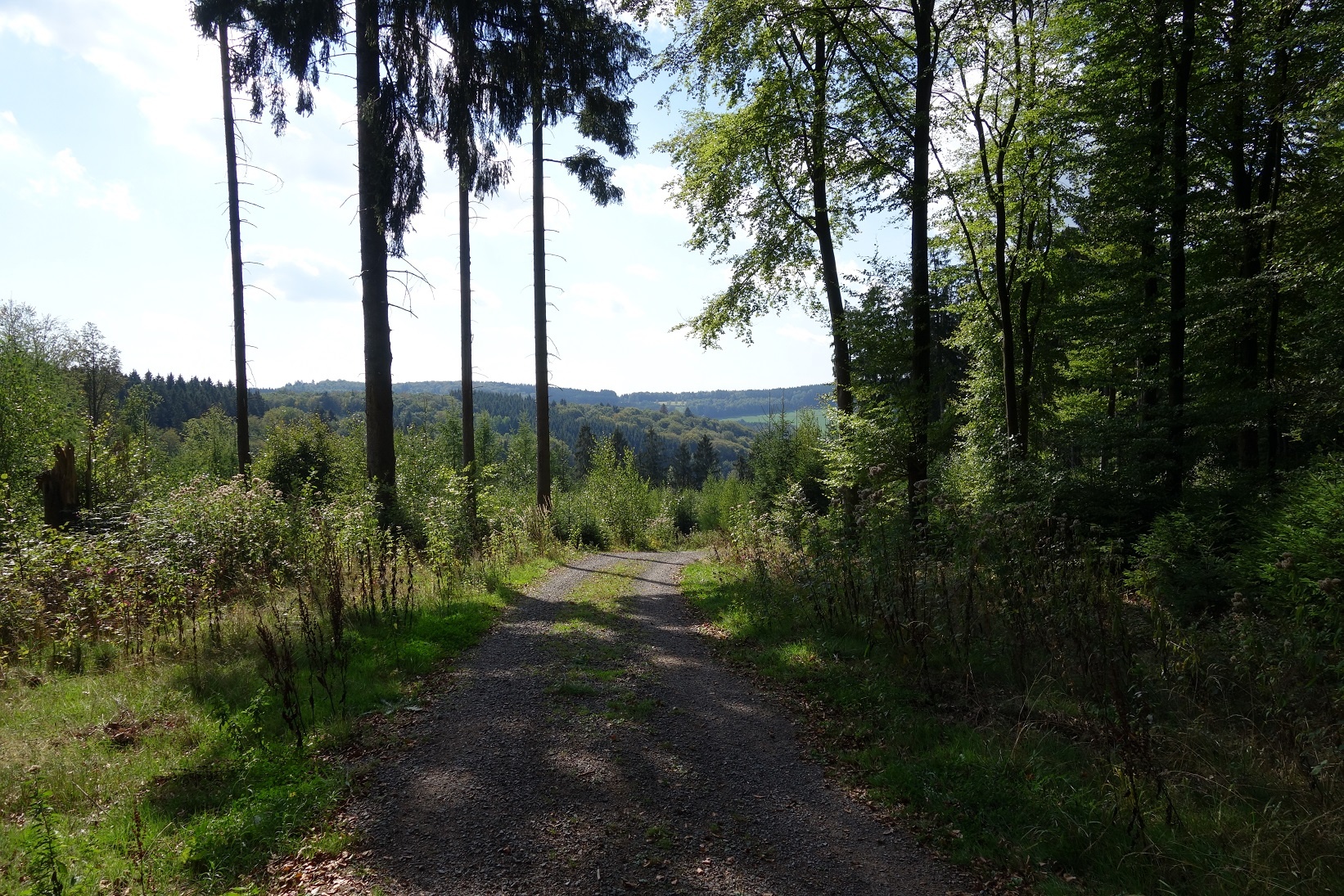 Fernsicht gen Süden