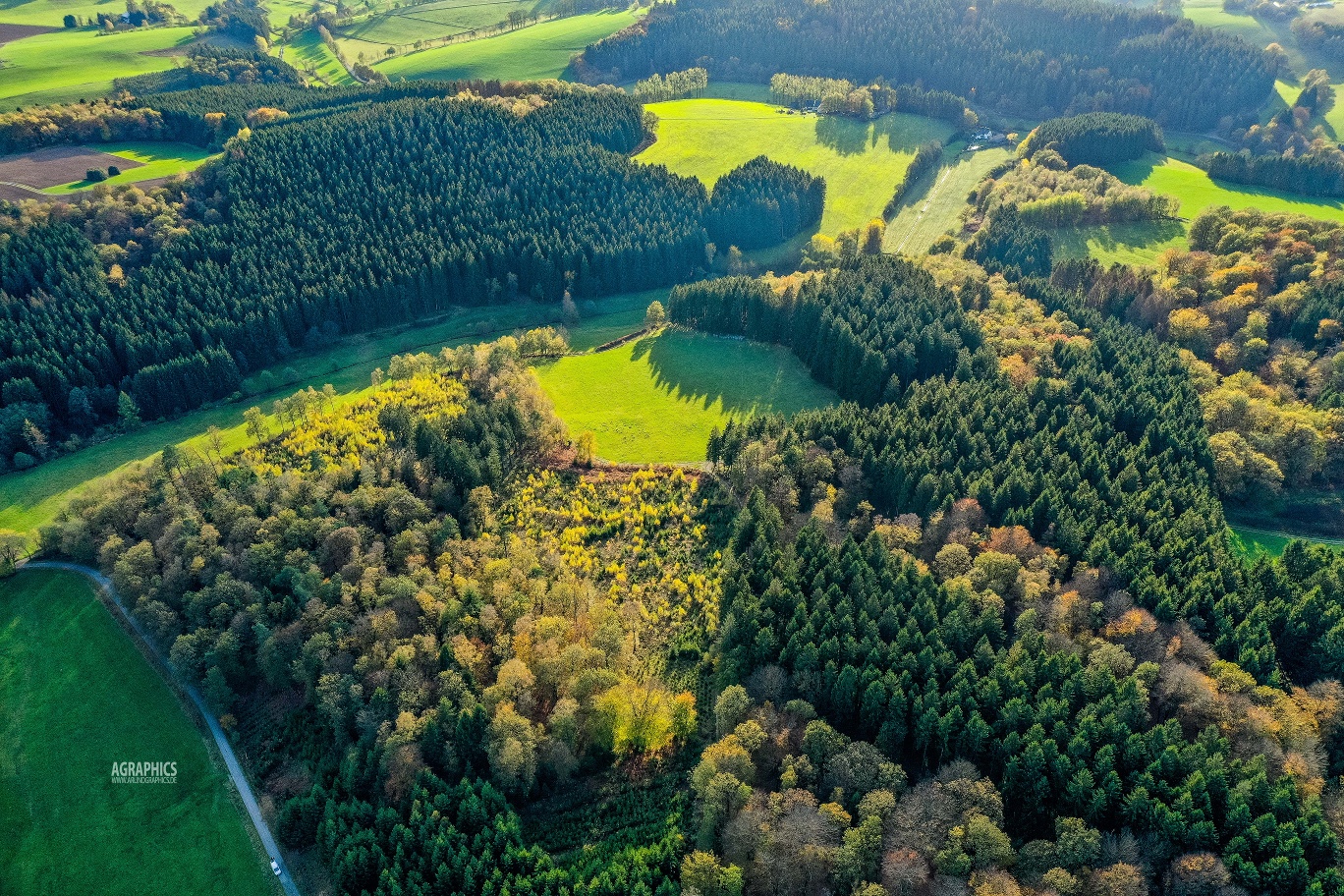 Blick über das Wandergebiet