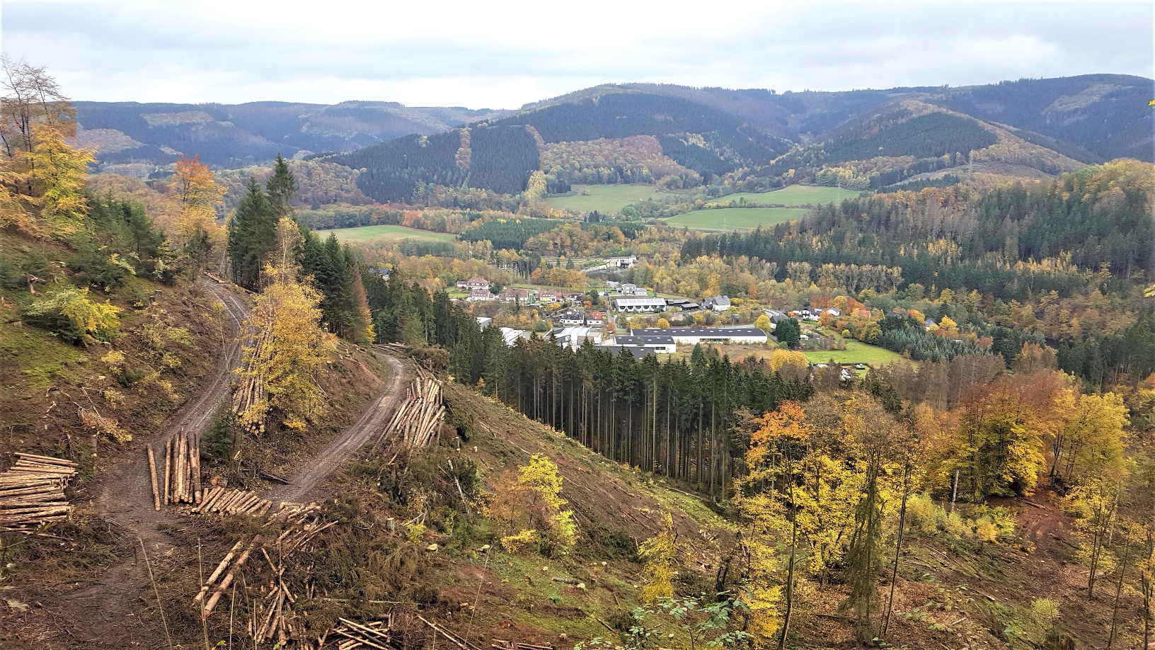 Blick ins Lennetal, Sieselschleife