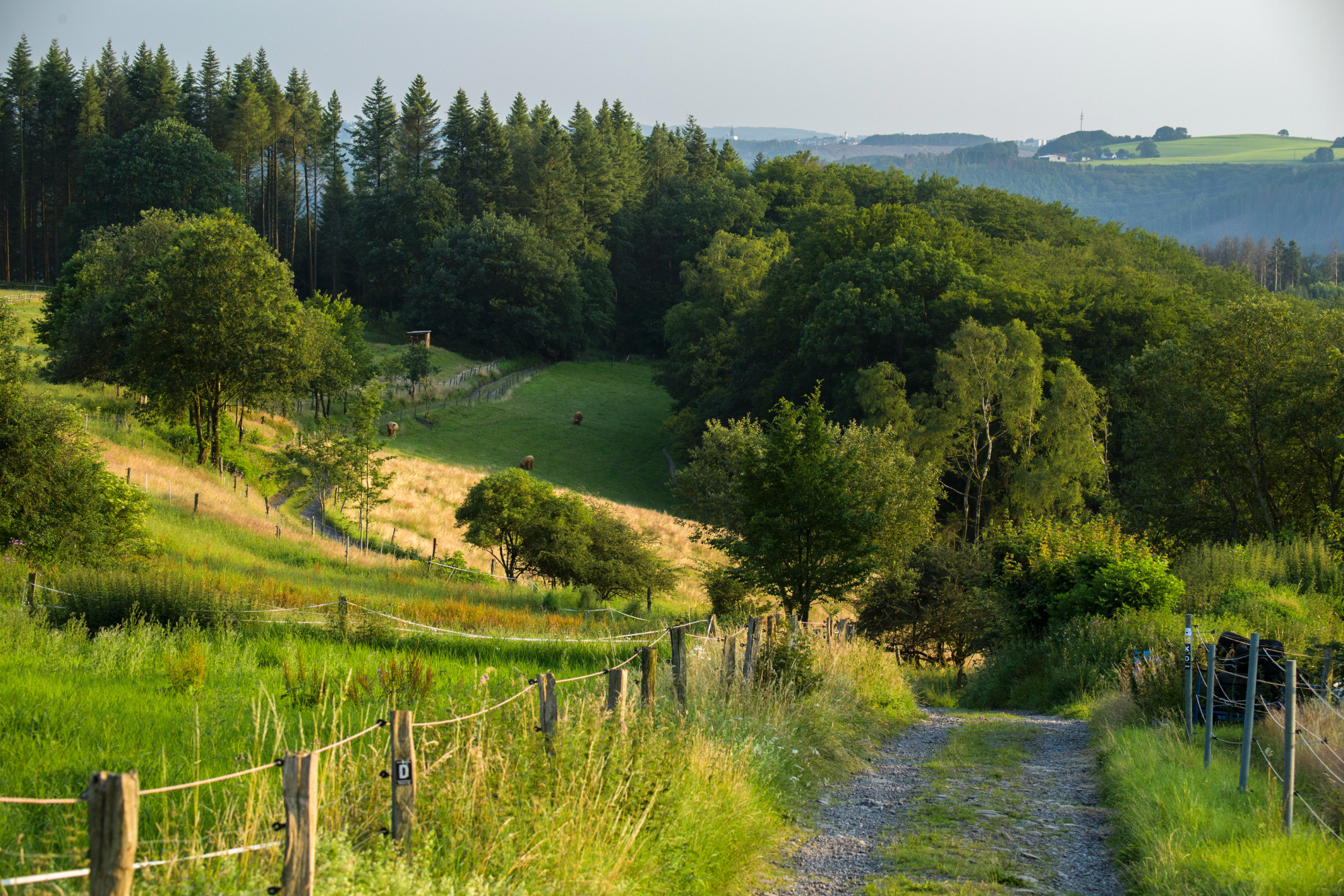 Weg zwischen Altena und Hegenscheid