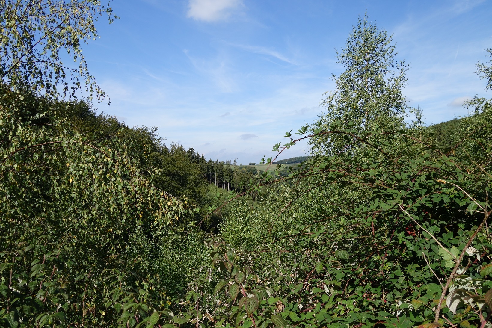 Ausblicke von Kamp in Richtung Everinghausen