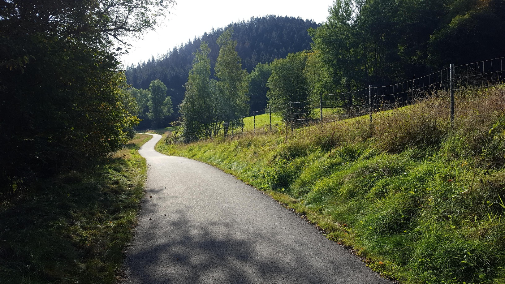 Fahrradweg im Grünetal am Grünebach