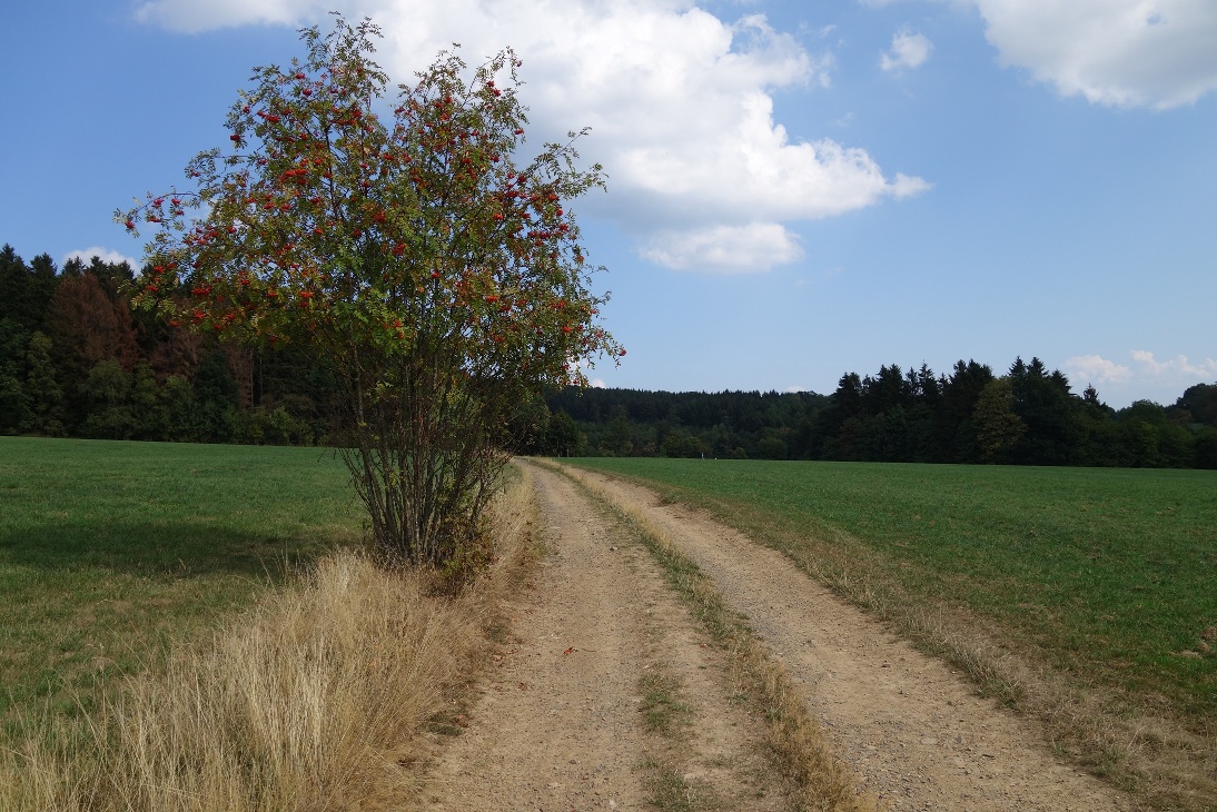 Über Felder und Wiesen mit einer tollen Rund-Um-Sicht