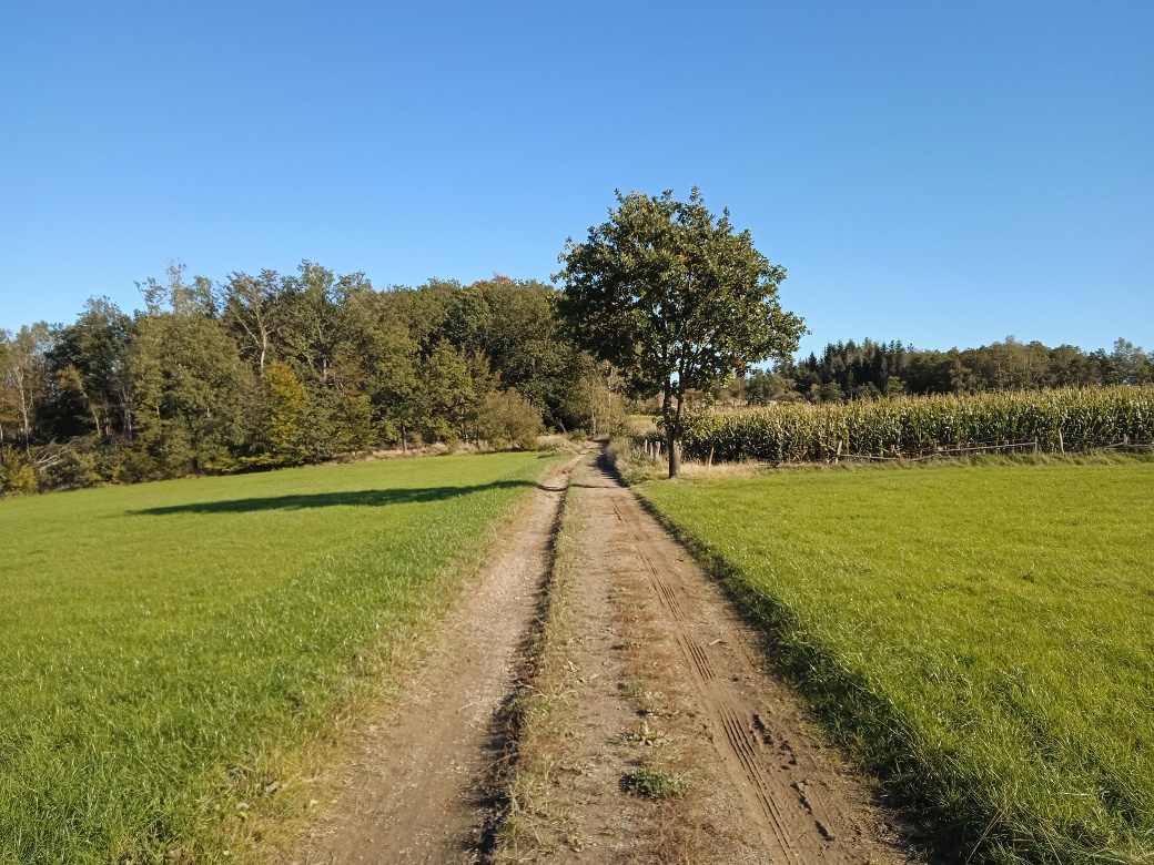 Wanderwegabschnitt VolmeSchatz Sagen auf dem Arney bei Kierspe