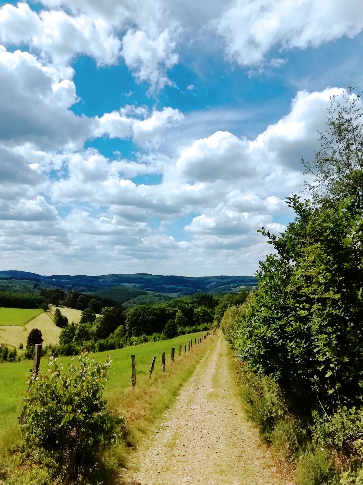 Zwischen Vohr und Sundhelle