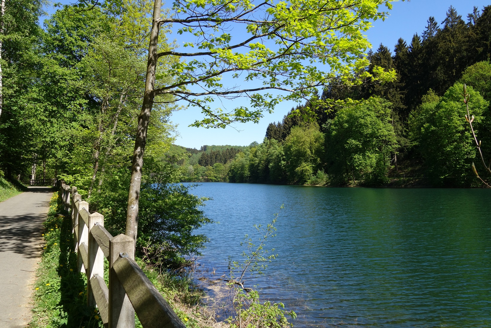 Der Weg führt überwiegend nah am Wasser entlang