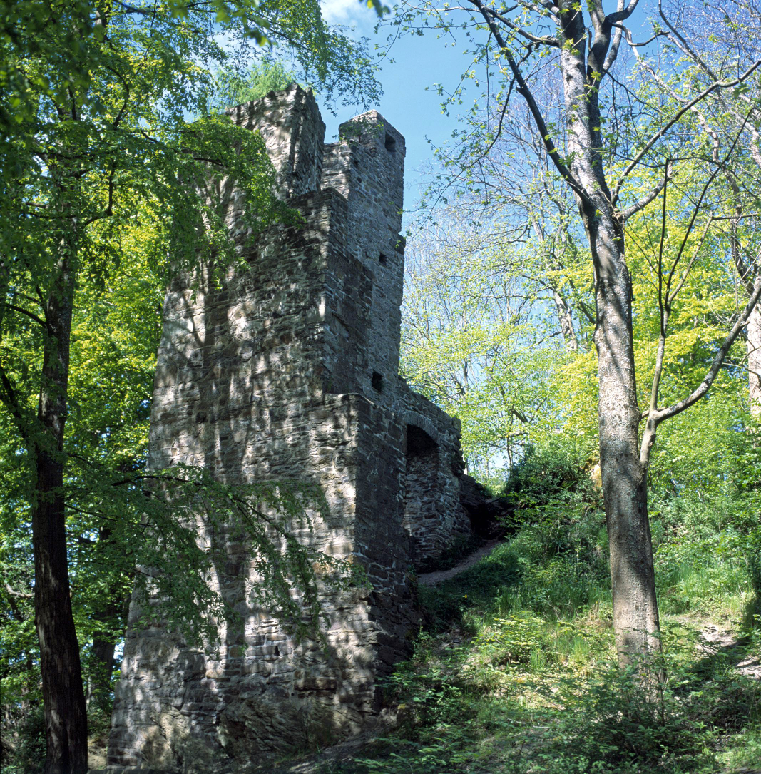 Burgruine Schwarzenberg