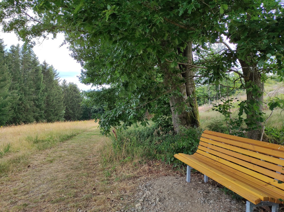 Neue Rastmöglichkeiten am Wegesrand