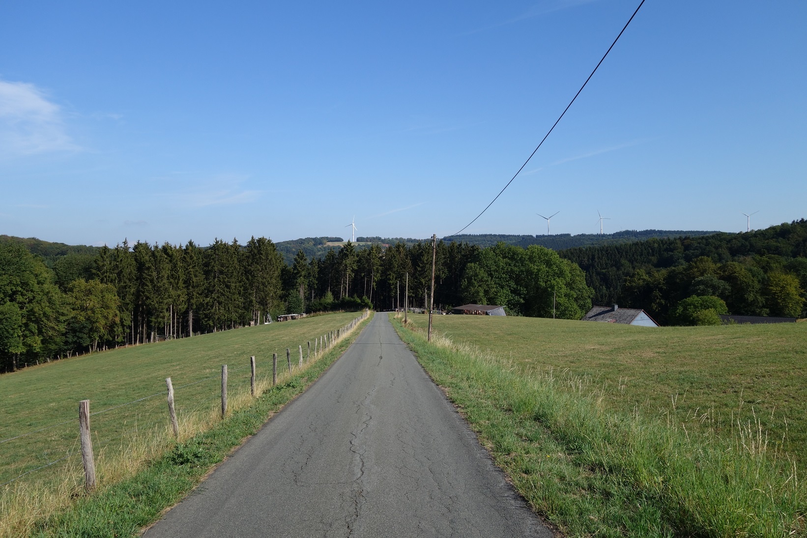 Zwischen Berkey und Mummesohl führt der Wanderweg entlang der kleinen Straße