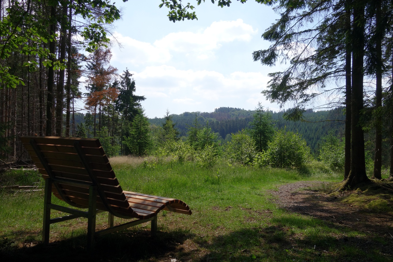 Das Waldsofa am "Erlebnispunkt Schanhollen" lädt zum Verweilen ein