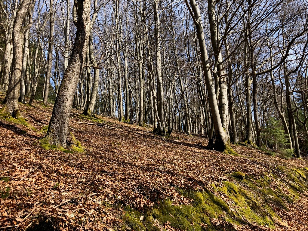 Schalksmühler Rundweg