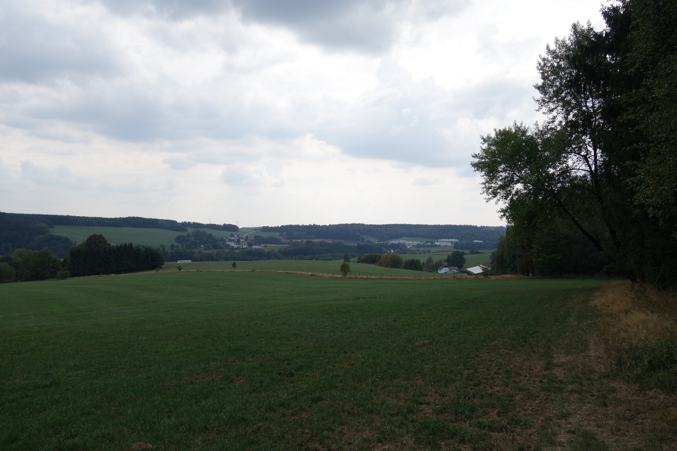 Aussicht nach Verlassen des Waldes über Niederhengstenberg hinweg