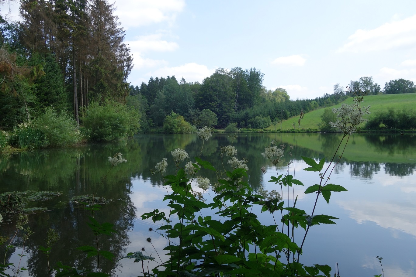 Idyllisch: Die Teiche entlang der Wanderstrecke