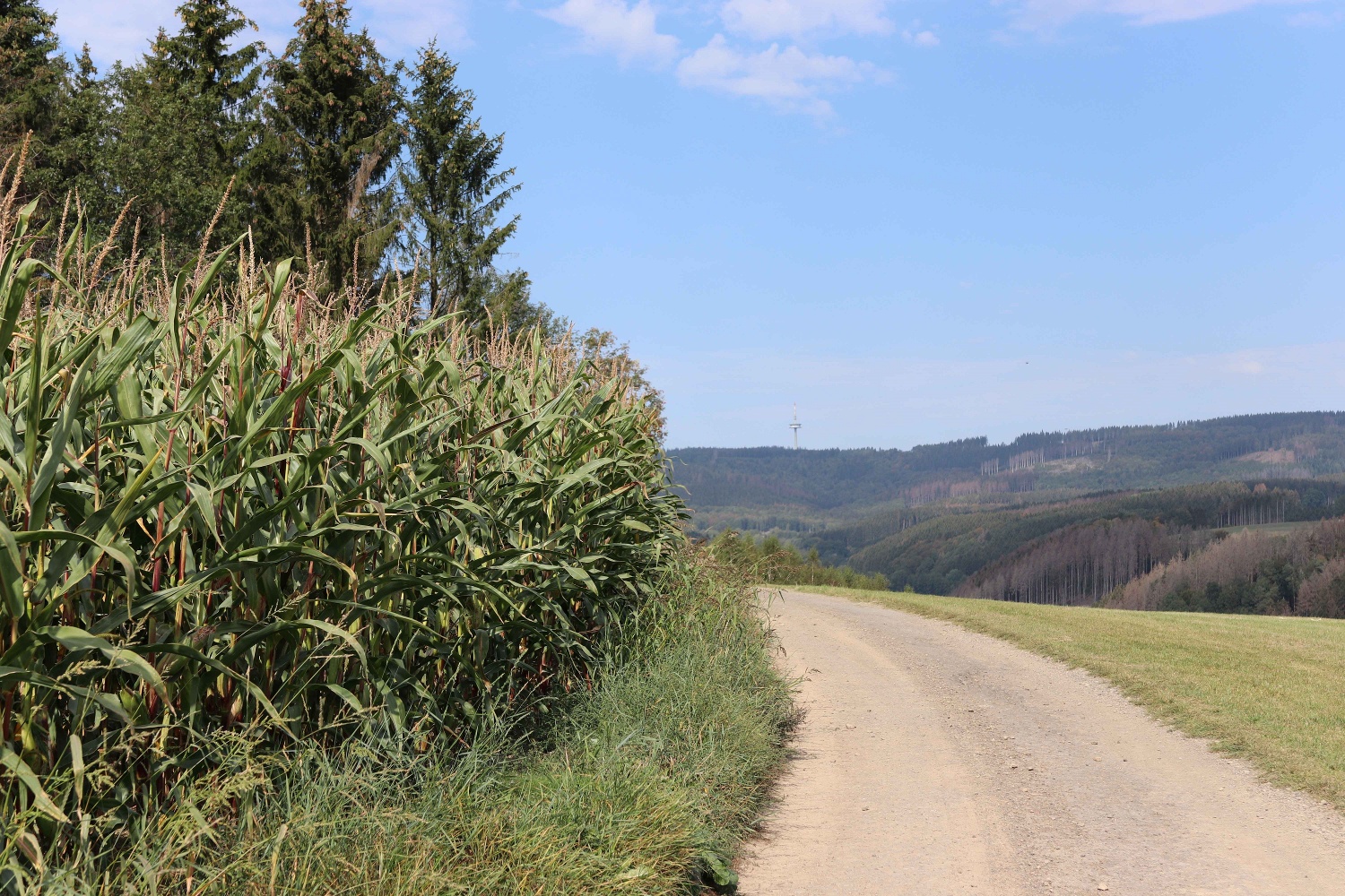 Valberter Rundweg