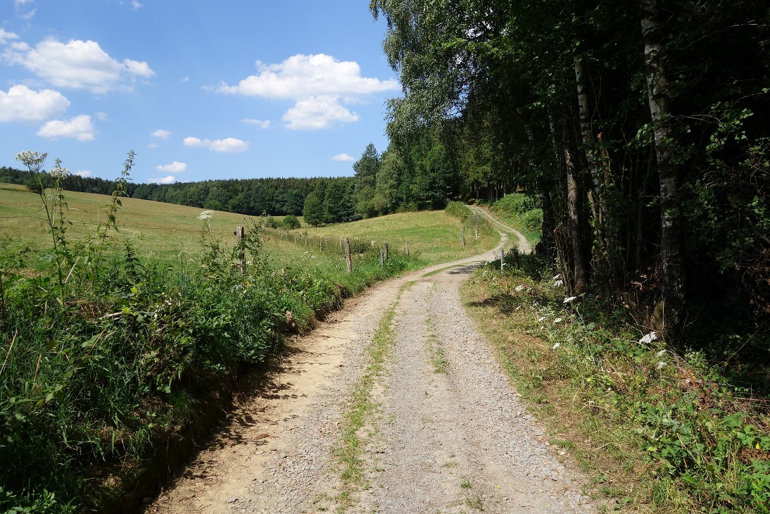 Weg hinauf nach Halver