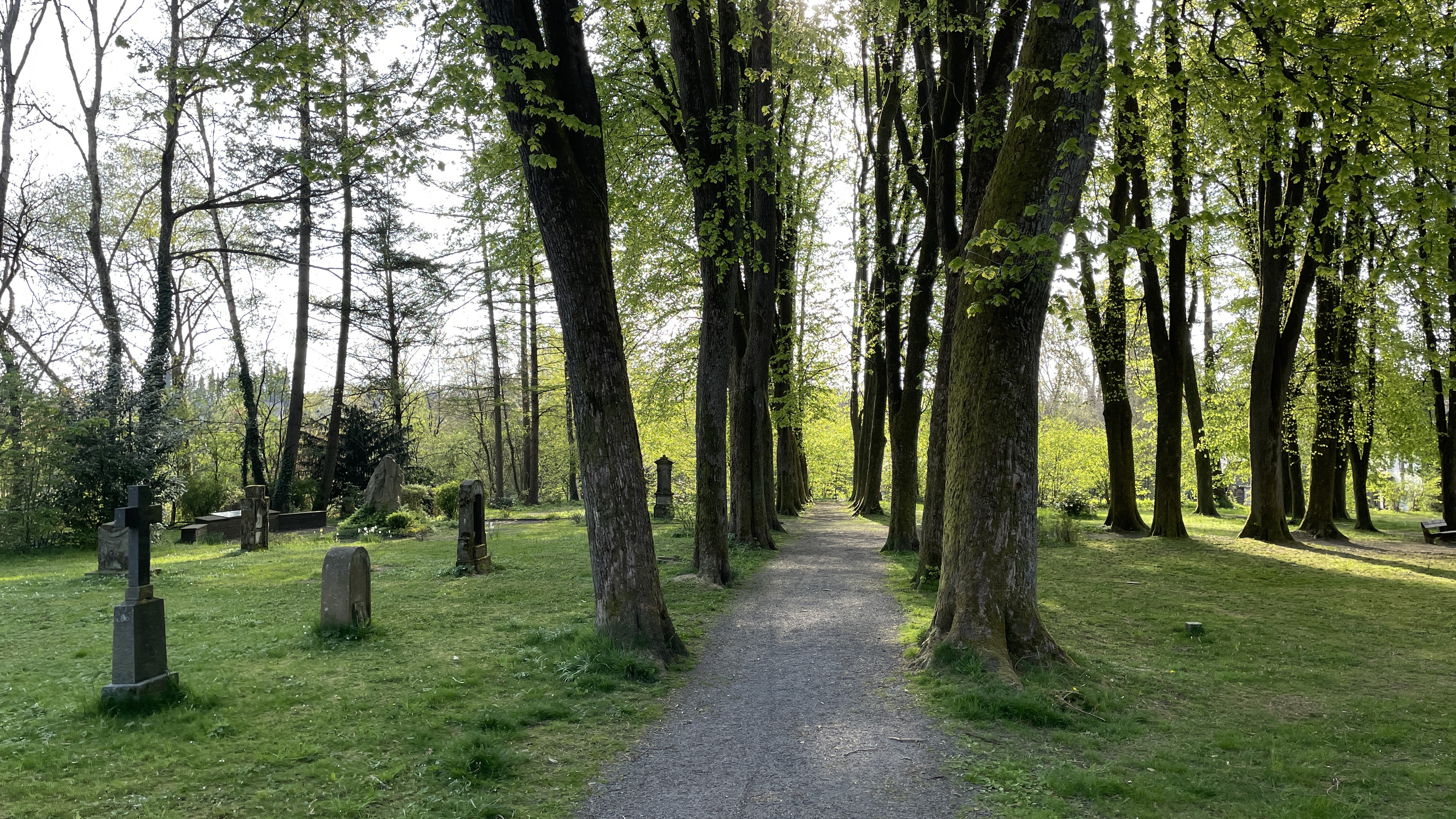 20220505_Alter_Friedhof_Valbert.jpg