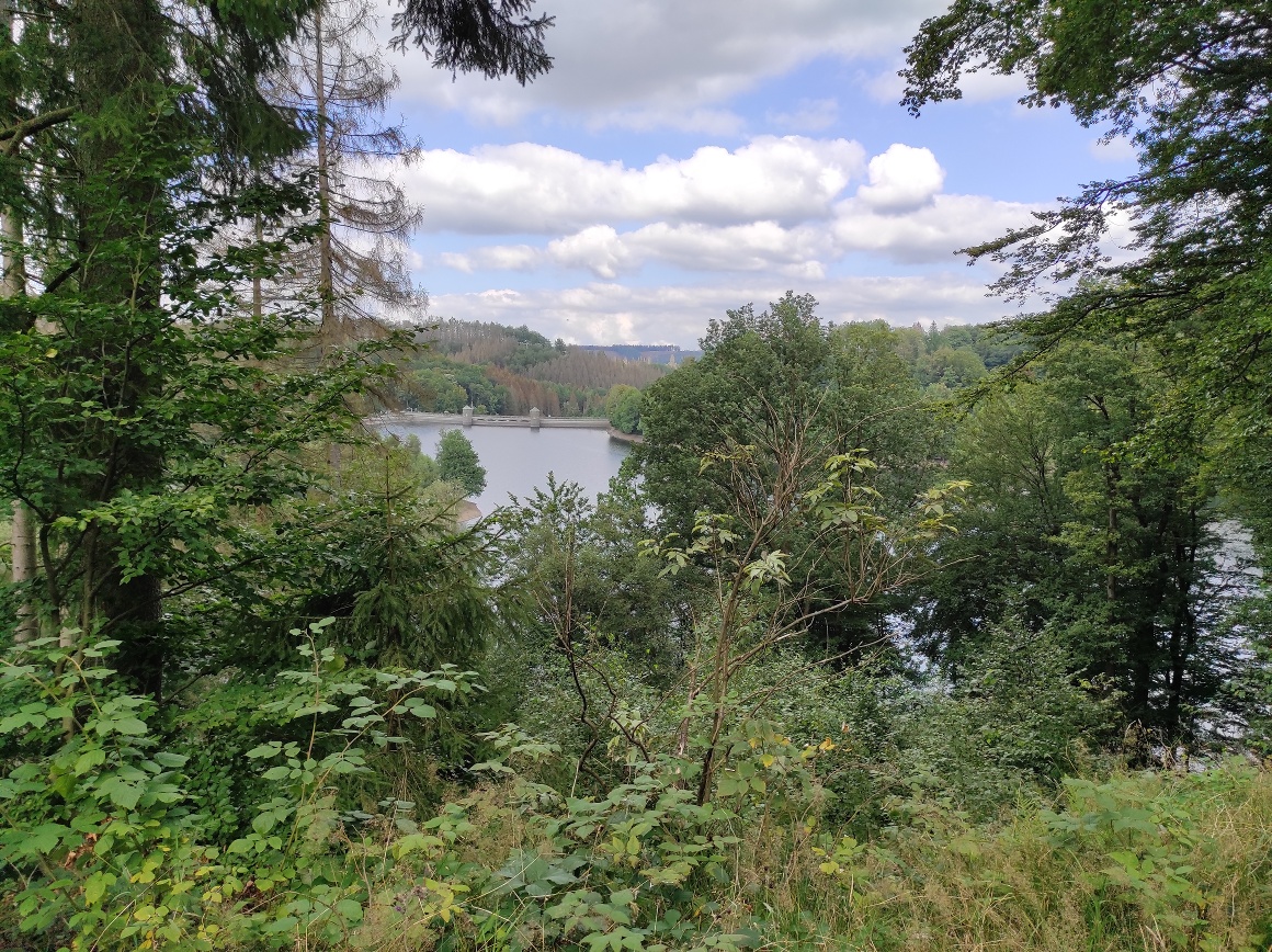 Blick von oben auf die idyllische Fürwiggetalsperre