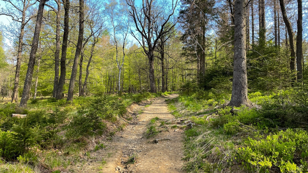 Über den Sauerland-Höhenflug hinauf zur Nordhelle