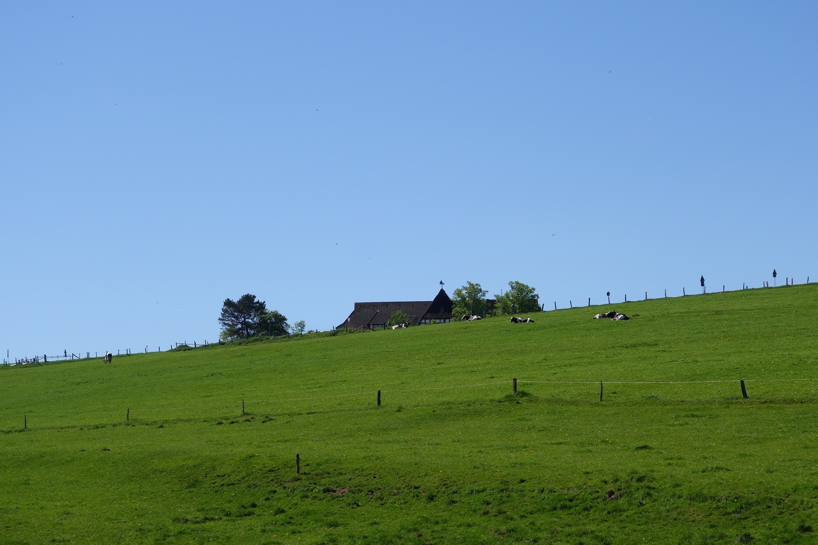 Aussicht über die Weiden hin zum Gebäude der Grundschule Spormecke