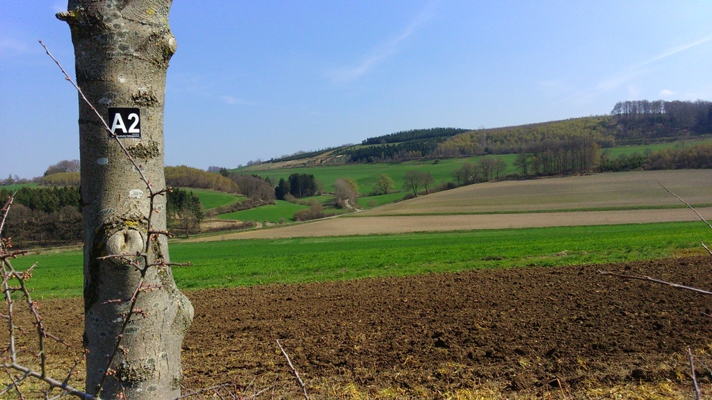 A2 Blintrop - Wegekennzeichen 