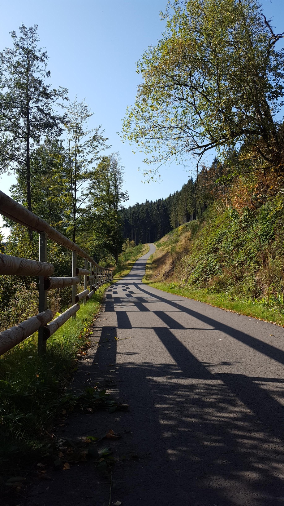 Fahrradweg im Grünetal am Grünebach