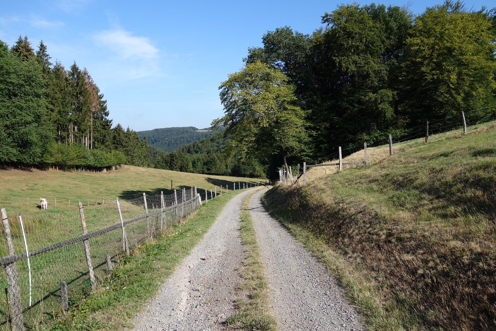 Gut zu gehende Schotter-, Forst- und Asphaltwege sind typisch für diesen Rundweg