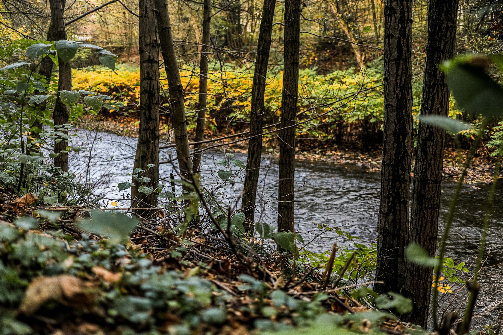 Auch nah am Wasser entlang führt der Themenweg