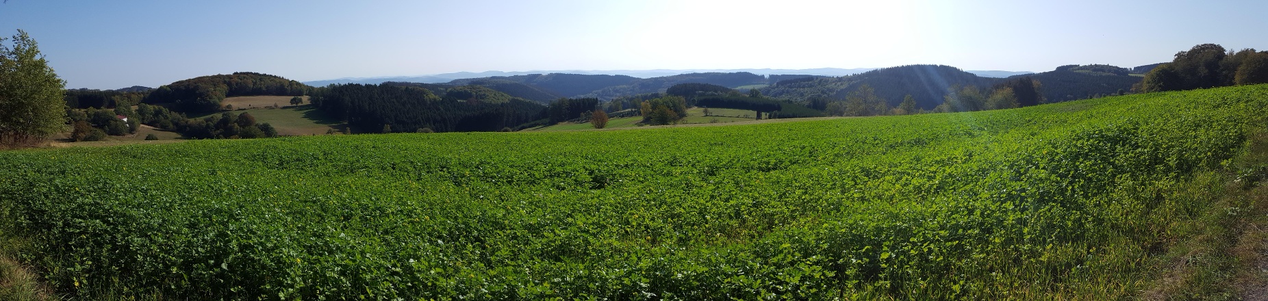 MTB Bergziegen Tour