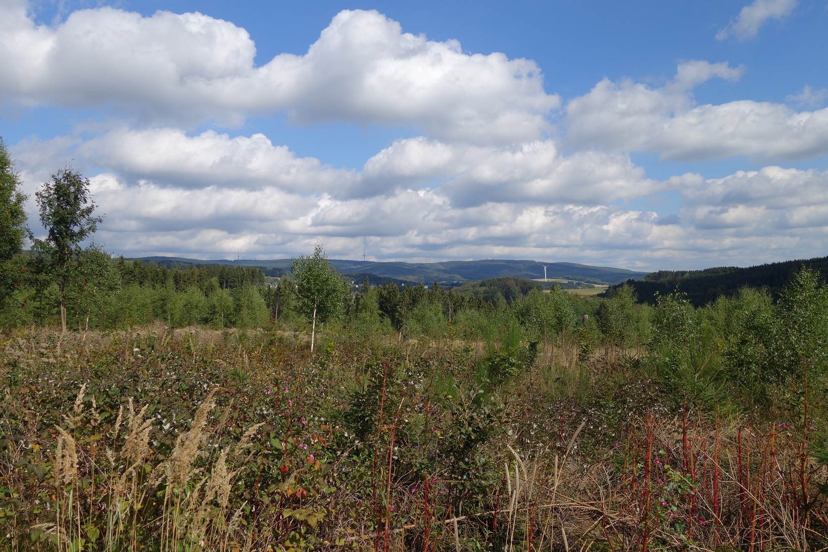 Fantastische Fernsicht in Richtung Nordhelle und Ebbegebirge