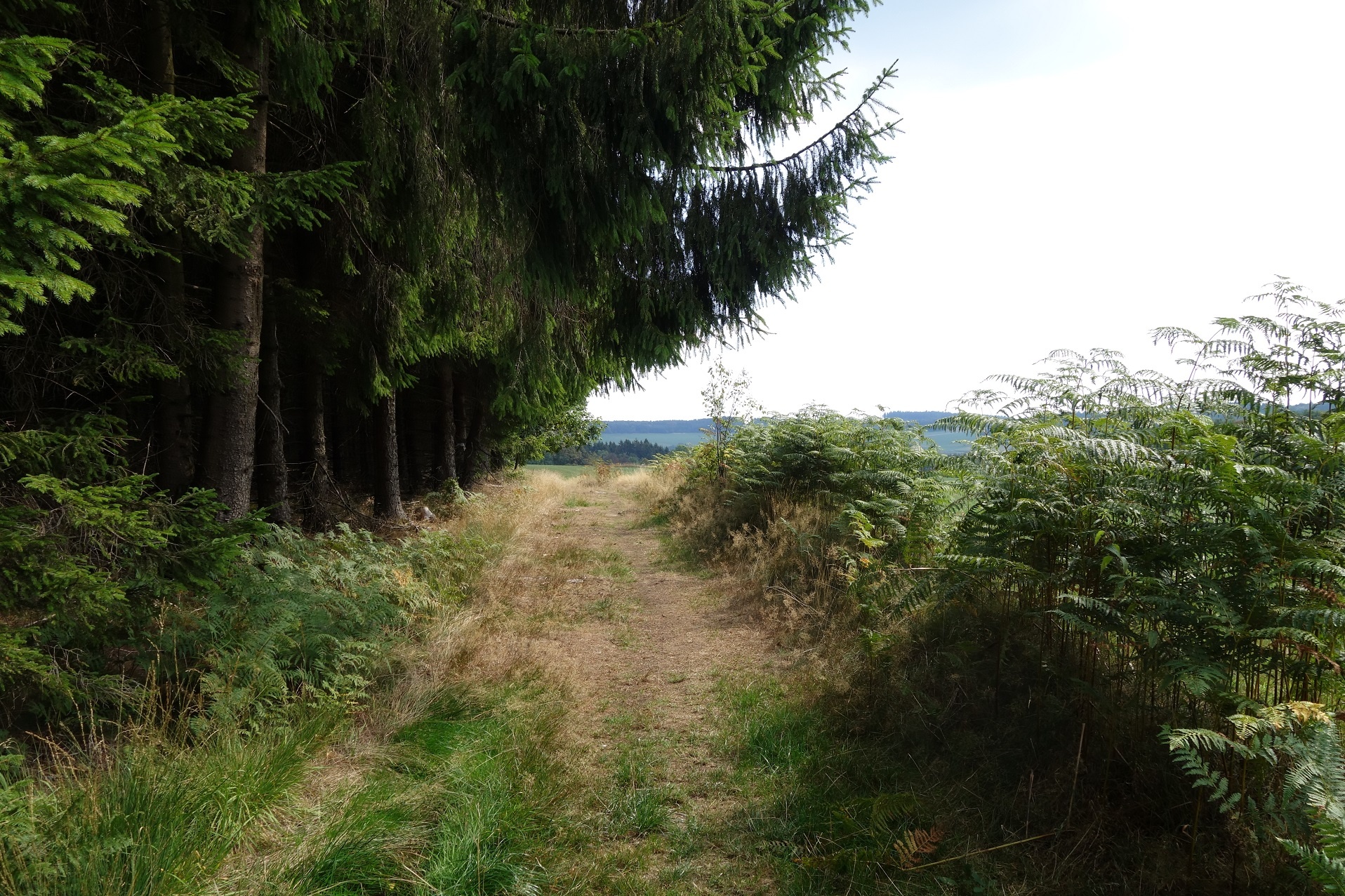 Wir verlassen die waldreichen Wegespassagen...