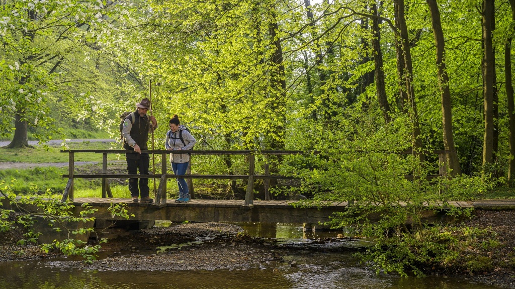 Entdeckungen auf der Sauerland-Waldroute