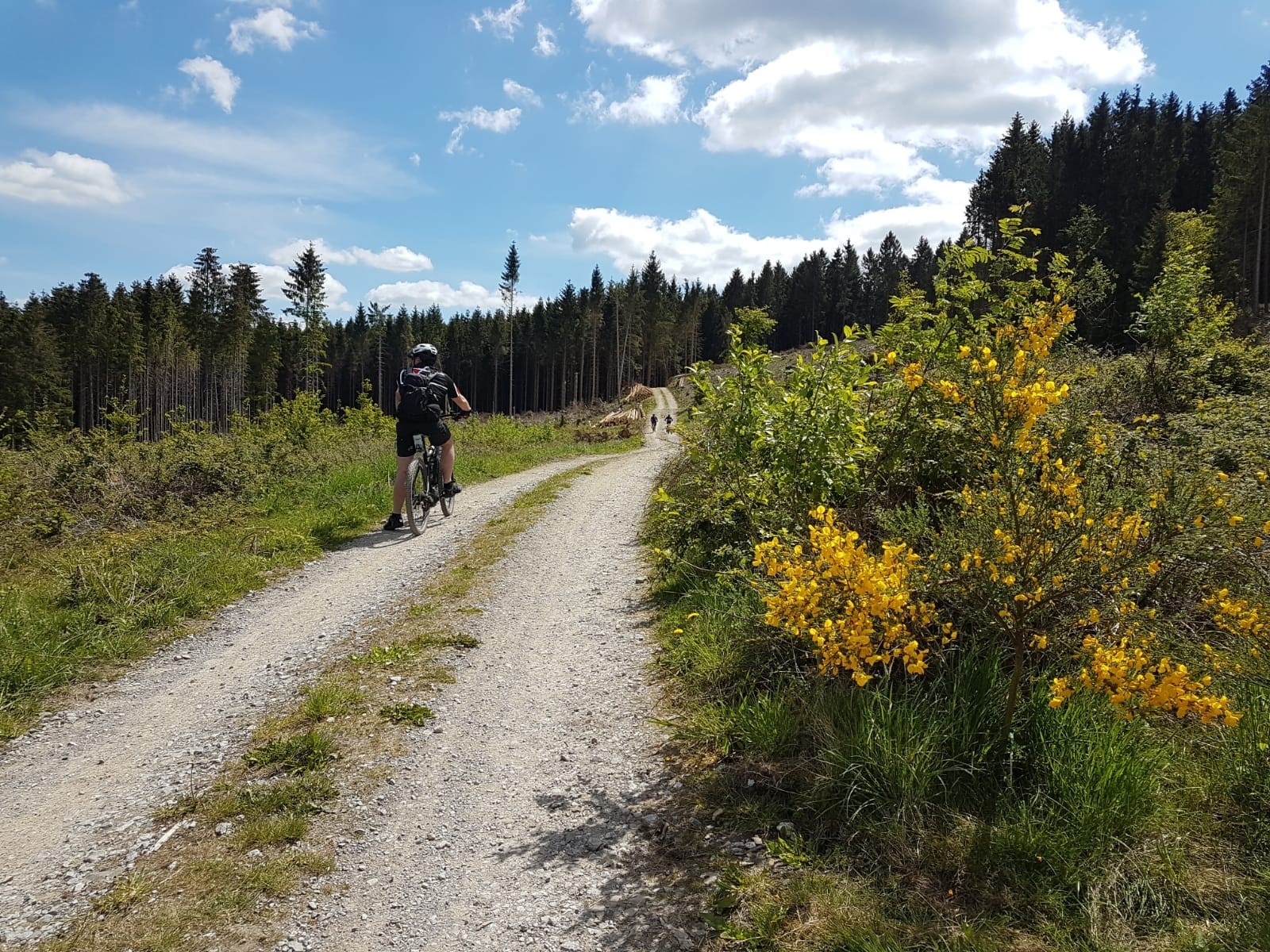 Die Böötchentour